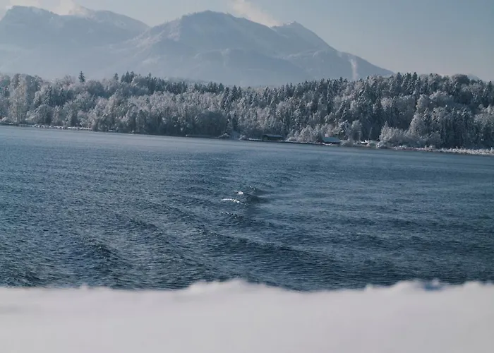 شقة Chiemsee *