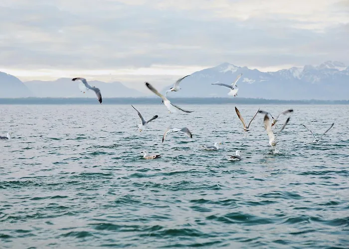 Lejlighed Chiemsee